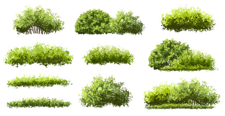  Vector watercolor green  tree or forest side view isolated on white background for landscape and architecture drawing,elements for environment or and garden,Shrub for section