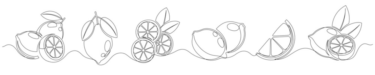 Lemon continuous one line drawing set isolated on a white background. Editable stroke. Outline lemon citrus collections. Horizontal banner. Vector illustration