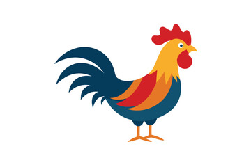 rooster isolated on white background