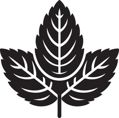 isolated mint leaf Vector,mint leaf Silhouette,mint leaf icon set, mint leaf symbol ,black mint leaf Vector illustration, Vector Graphic, EPS 10  © vectorzking