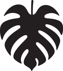 isolated Monstera leaf Vector,Monstera leaf Silhouette,Monstera leaf icon set, Monstera leaf symbol ,black Monstera leaf Vector illustration, Vector Graphic, EPS 10 

