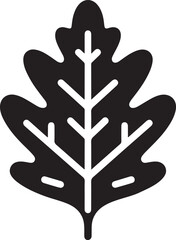 isolated oak leaf Vector,oak leaf Silhouette,oak leaf icon set, oak leaf symbol ,black oak leaf Vector illustration, Vector Graphic, EPS 10 