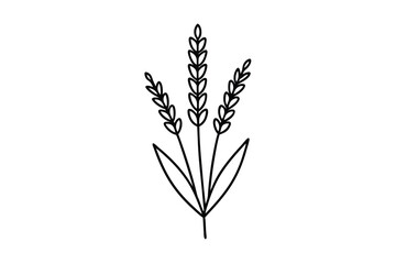 Elegant Simple Lavender Line Art Botanical Floral Graphic Design