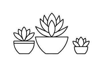 Three Succulents in Pots Line Art, Home Decor, Minimalist Plant Illustration