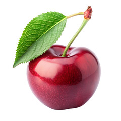 Sweet Simplicity Cherry with Leaf on White