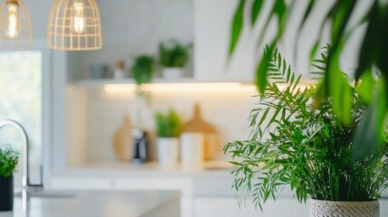 Modern minimalist kitchen with bright lighting, white surfaces, wooden details, and green plants for a fresh and clean aesthetic