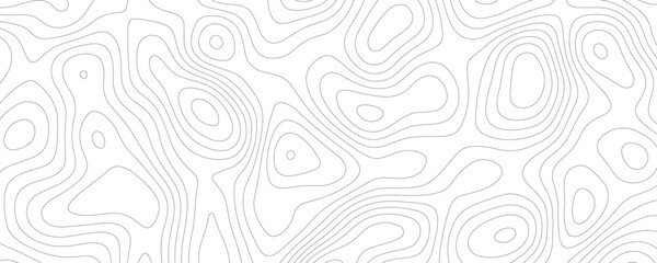 Fototapeta premium White Topology and Topography Vector Layered Paper Cutout Abstract Background. Smooth Wavy curve lines banner design vector map seamless pattern. Thin curved wavy lines topology on a white background.