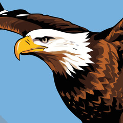 flying eagle vector art for graphic design needs