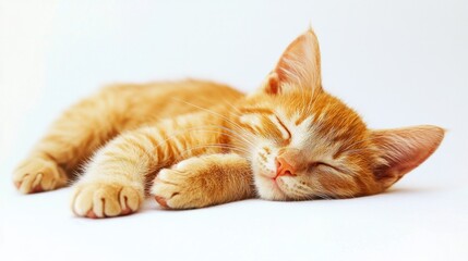 Cute Orange Tabby Kitten Sleeping Peacefully on Soft White Surface