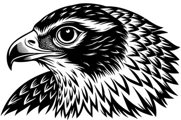  falcon head silhouette