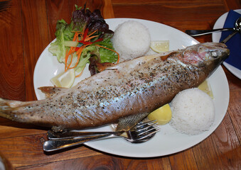 Cooked trout on a plate with rice and salad. Taupo. New Zealand.