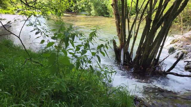 Faszinierende Sinterterrassen der Wei&szlig;en Lauter, ein beeindruckendes Naturwunder in Deutschland. Das klare Wasser flie&szlig;t in kleinen Kaskaden &uuml;ber die abgestuften Terrassen.
