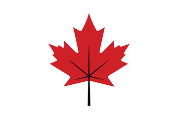 maple leaf vector illustration. autumn leaf ornament isolated on white background