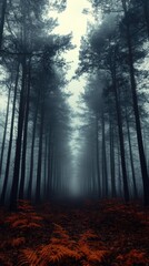 Naklejka premium Misty forest path with tall trees, and deep red ground foliage disappearing into fog