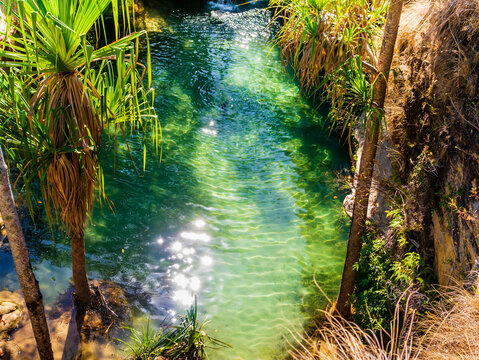 Impressive oasis called la piscine naturelle, a palm-fringed pool constantly fed by a crystalline waterfall, Isalo National Park, Madagascar
