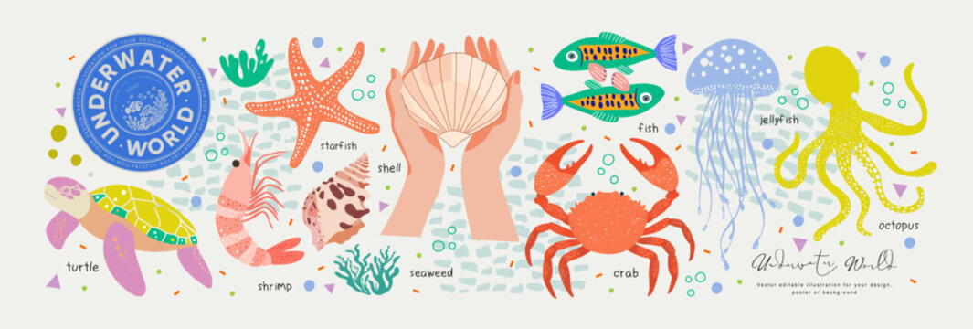 Underwater world. Vector modern abstract illustration of summer, sea, ocean, shell, turtle, crab, jellyfish, fish, shrimp, octopus, starfish, seaweed for icon set, elements or objects