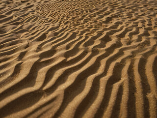 Sunlight glistens on the sand, highlighting its texture and curves.