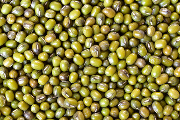 Full frame green bean seeds background