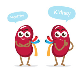 Healthy kidney . Cute medical cartoon characters . Isolated white background . Vector .