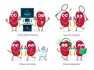 Healthy kidney . Cute medical cartoon characters . Isolated white background . Vector .
