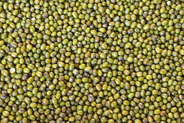 Full frame green bean seeds background