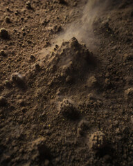 The sand dunes stretch endlessly, creating a vast desert landscape.