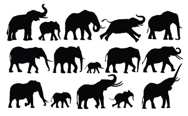 Set silhouettes of a wild africans elephants.

