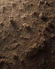 Ripples in the sand show the natural movement of the desert winds.