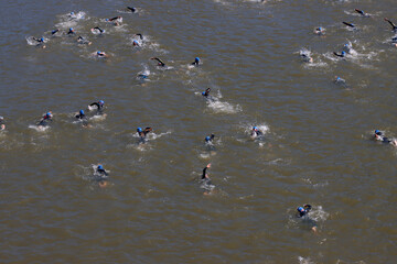 Swimmers in the river