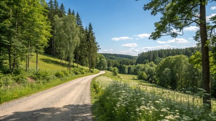 country-road-and-green-forest-natural-landscape-un (3)
