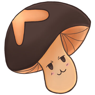 shiitake mushroom