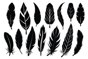 Feather Silhouettes Collection,  set of Black Feather Designs vector illustration. 