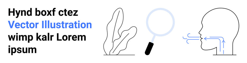 Plant outline, magnifying glass, and human profile emitting arrows suggest analysis, growth, research, nature, biology, focus or breathing exercises. Ideal for science biology themes or a simple