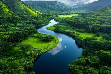 Lush River Valley with Aerial View.