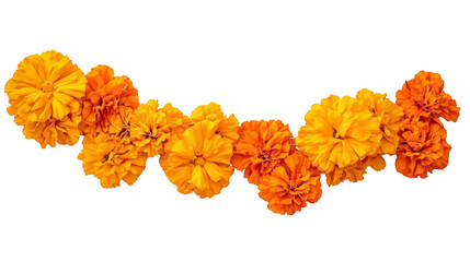 Orange Marigold Flower Garland, Isolated on Transparent Background, Floral Design Element, Day of the Dead, Marigold, Floral arrangement, Dia de los Muertos