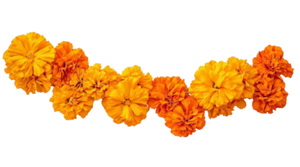 Orange Marigold Flower Garland, Isolated on Transparent Background, Floral Design Element, Day of the Dead, Marigold, Floral arrangement, Dia de los Muertos