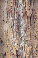 wood textures quality