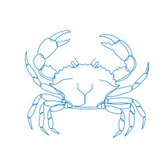 Minimalist Crab Vector Illustration with Clean Lines and Modern Design