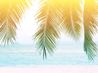 Banner Summer with colorful theme as palm trees background as texture frame background