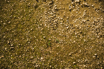 Texture of a gravelly ground surface with small white stones 5