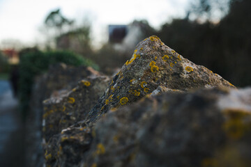 Rugged stone wall covered in patches of yellow lichen 7