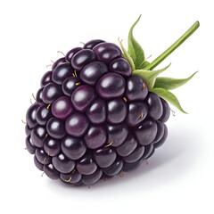 A vibrant fresh piece of blackberry on a white background.
