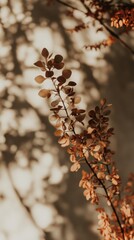 Fototapeta premium Autumn leaves and shadows on beige wall creating warm natural pattern