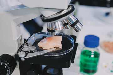 Team Asian scientists in a lab conducting food research using a microscope and lab equipment,...