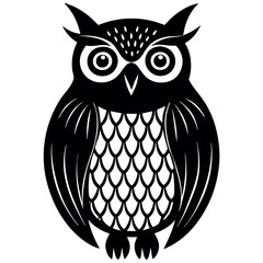 Owl-on-white-background. 