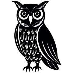 Owl-on-white-background. 