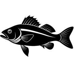 sea-bass-silhouette-black-and-white-with-white-bac (1).eps