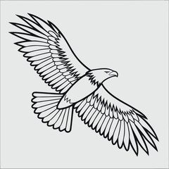 The white shouldered eagle in the sky 