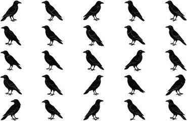 crow sihouette