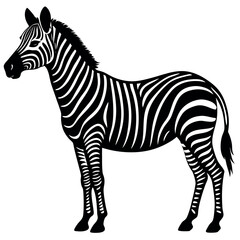 Zebra silhouette icon isolated 